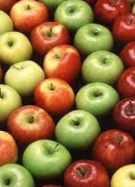 Apple Seed Planting Mix For Home Gardens heirloom non-gmo organic garden seeds