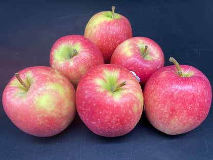 Pink and Green Apple Seeds for Orchard Planting