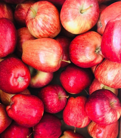 Apple Seeds for Delicious Fruit: Planting Guide