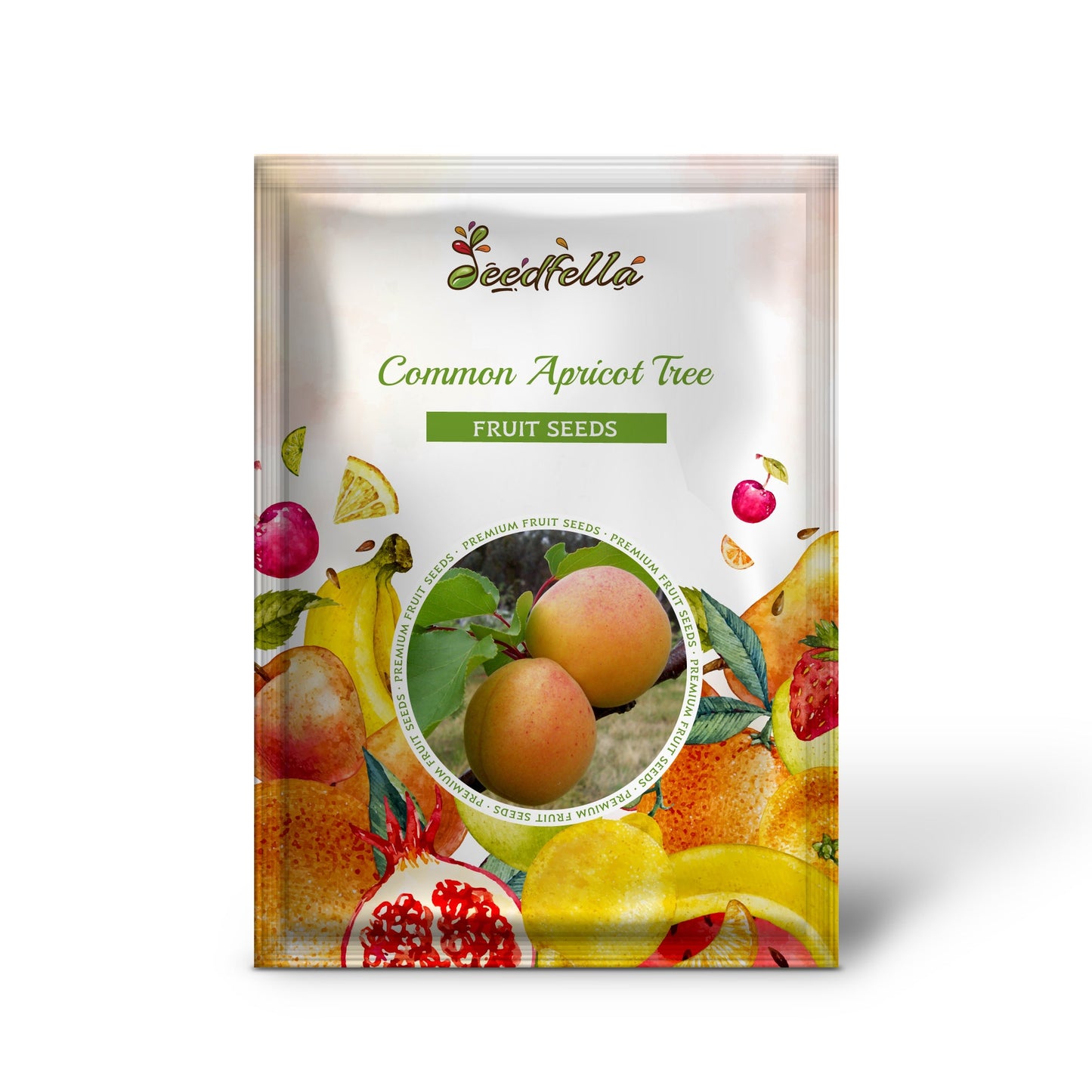 Common Apricot Tree (Prunus Armeniaca) White & Pink Flower Fruit Tree Seeds