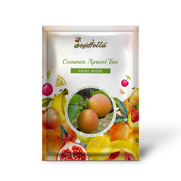 Common Apricot Tree (Prunus Armeniaca) White & Pink Flower Fruit Tree Seeds