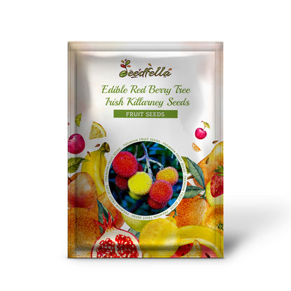 Strawberry Tree (Arbutus unedo) – Edible Red Berry Tree – Irish Killarney Seeds