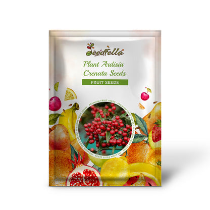 Pflanzen Sie Ardisia Crenata Samen für bunte Beeren