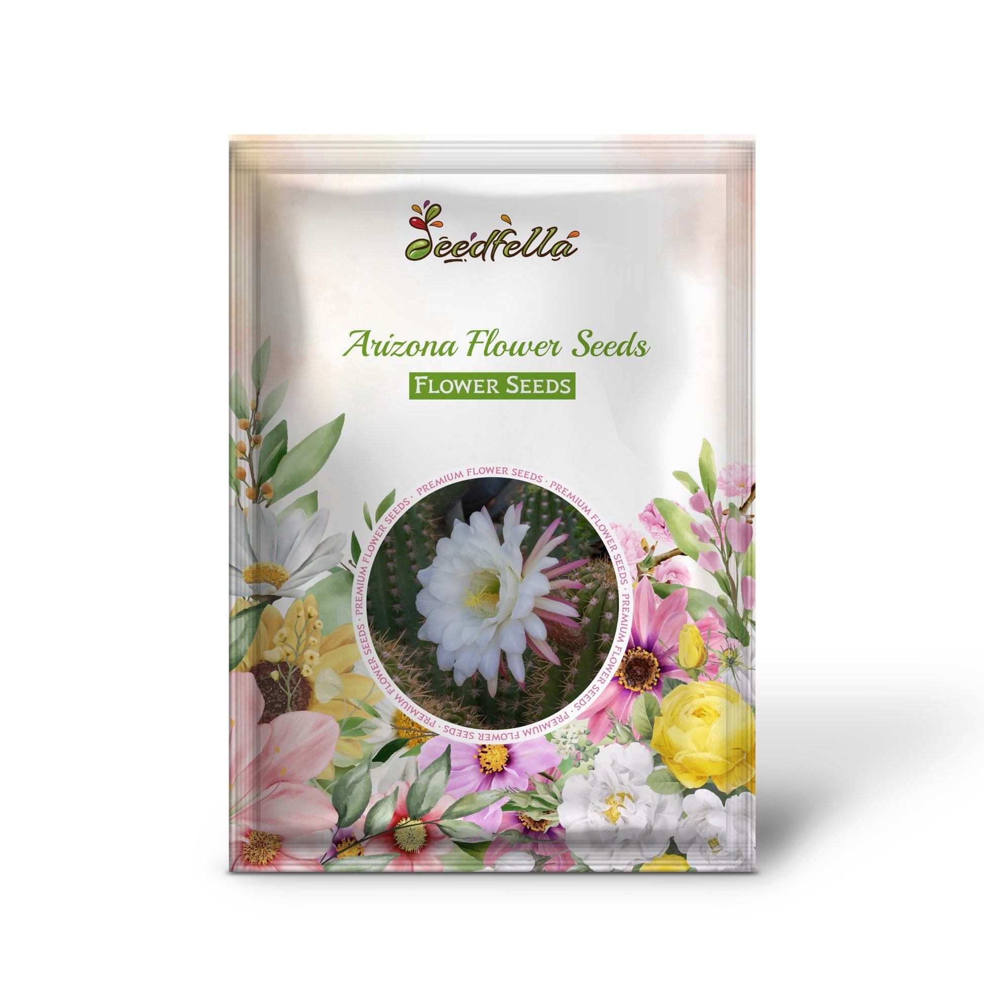 Colorful Desert Flowers from Arizona Mix Seeds