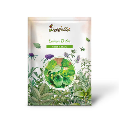 Lemon Balm (Melissa officinalis) Seeds