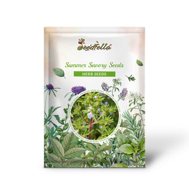 Summer Savory Seeds (Satureja hortensis)