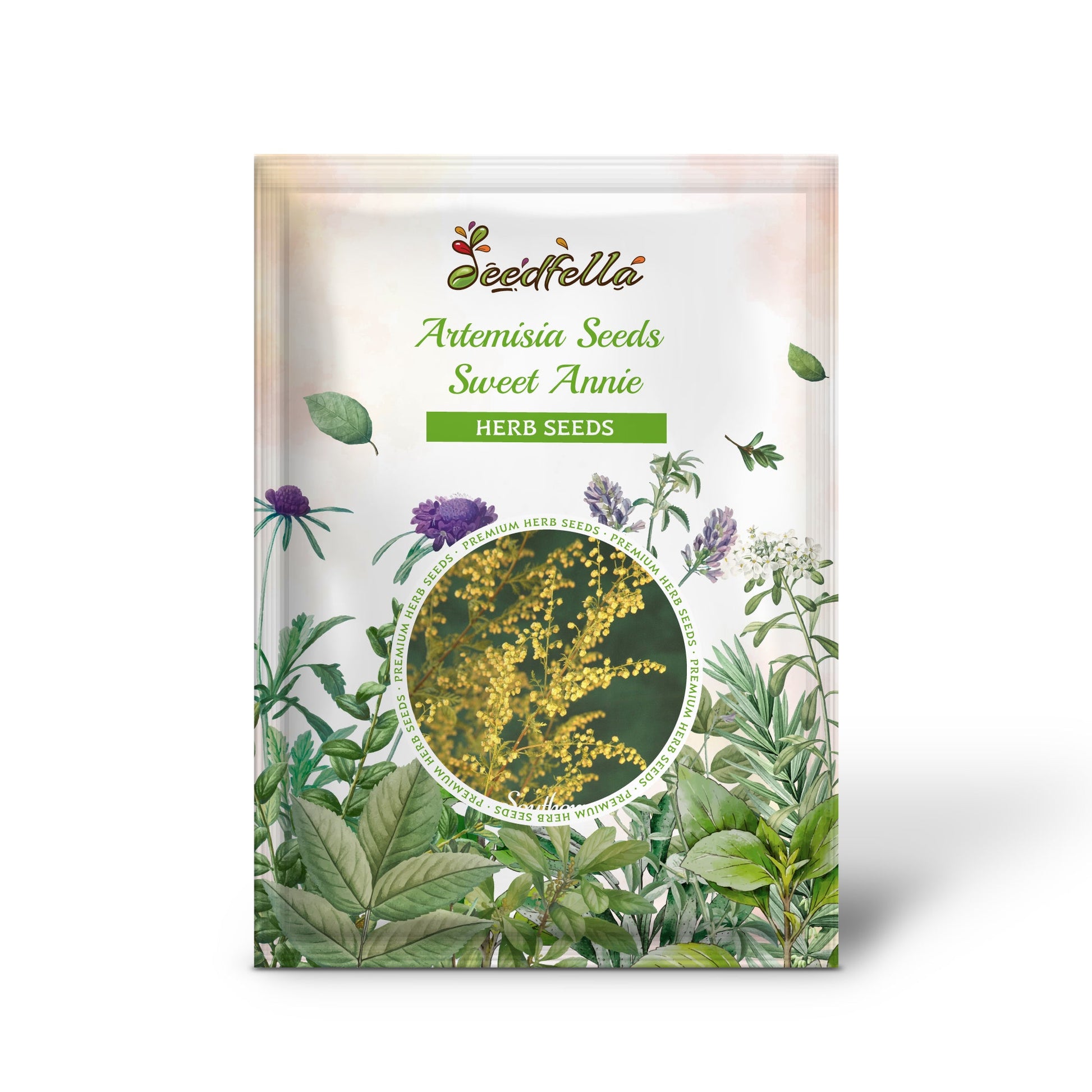 sweet annie plant seeds Artemisia Seeds Sweet Annie Artemisia Annua Organic Garden Seeds – Pure Asia Seeds