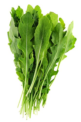 Roquette Arugula (Eruca vesicaria sativa) Herb and Vegetable Seeds – Rocket, Rucola, Rugula