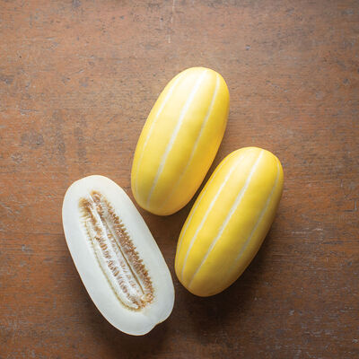 Asian Apple Melon Seeds for Planting