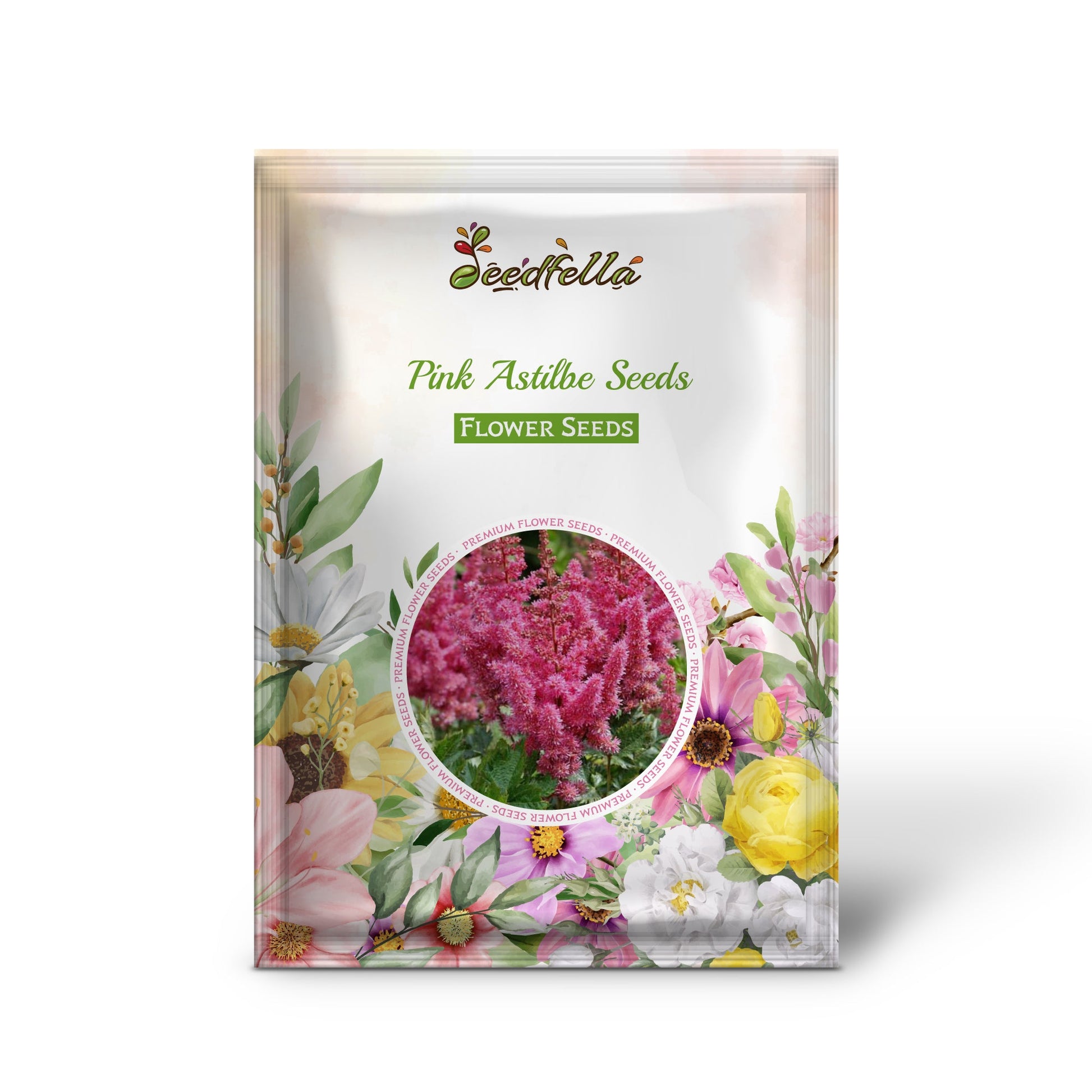 Astilbe Flower Seeds for Garden  Pink Feathery Blooms