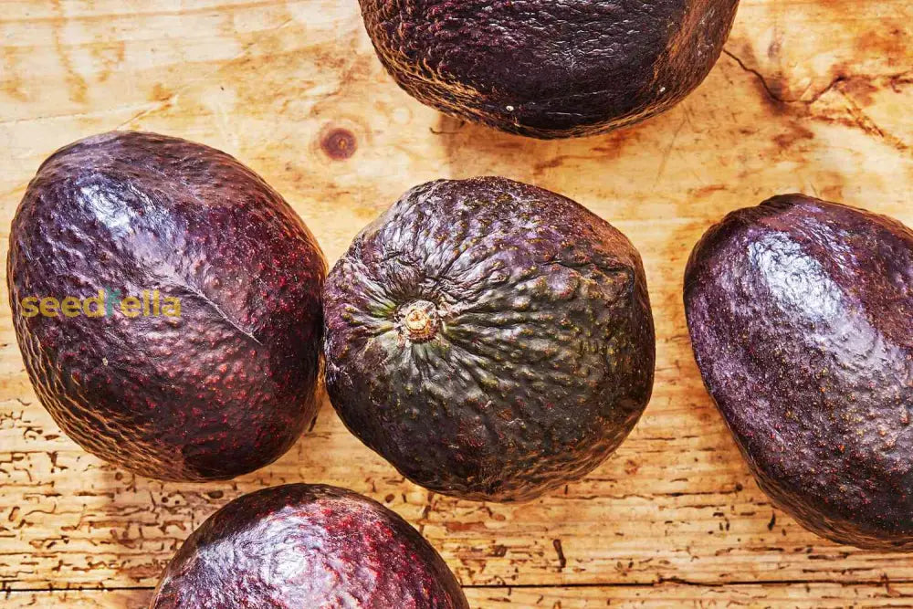 Brown Avocado Seeds for Planting - Grow Fresh Avocado Fruit at Home