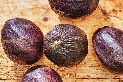 Brown Avocado Seeds for Planting - Grow Fresh Avocado Fruit at Home