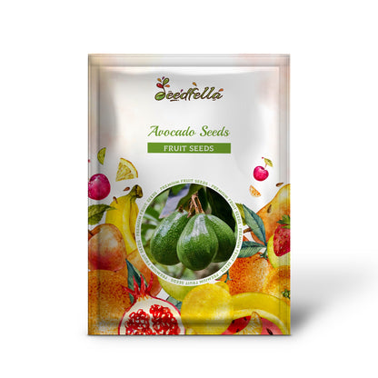 Avocado Seeds: Perfect for Planting