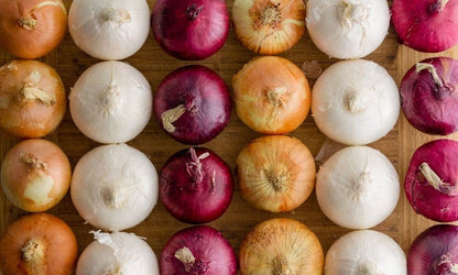 バラエティミックス玉ねぎ野菜の種