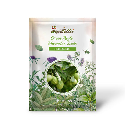 Green Aegle Marmelos Seeds for Planting