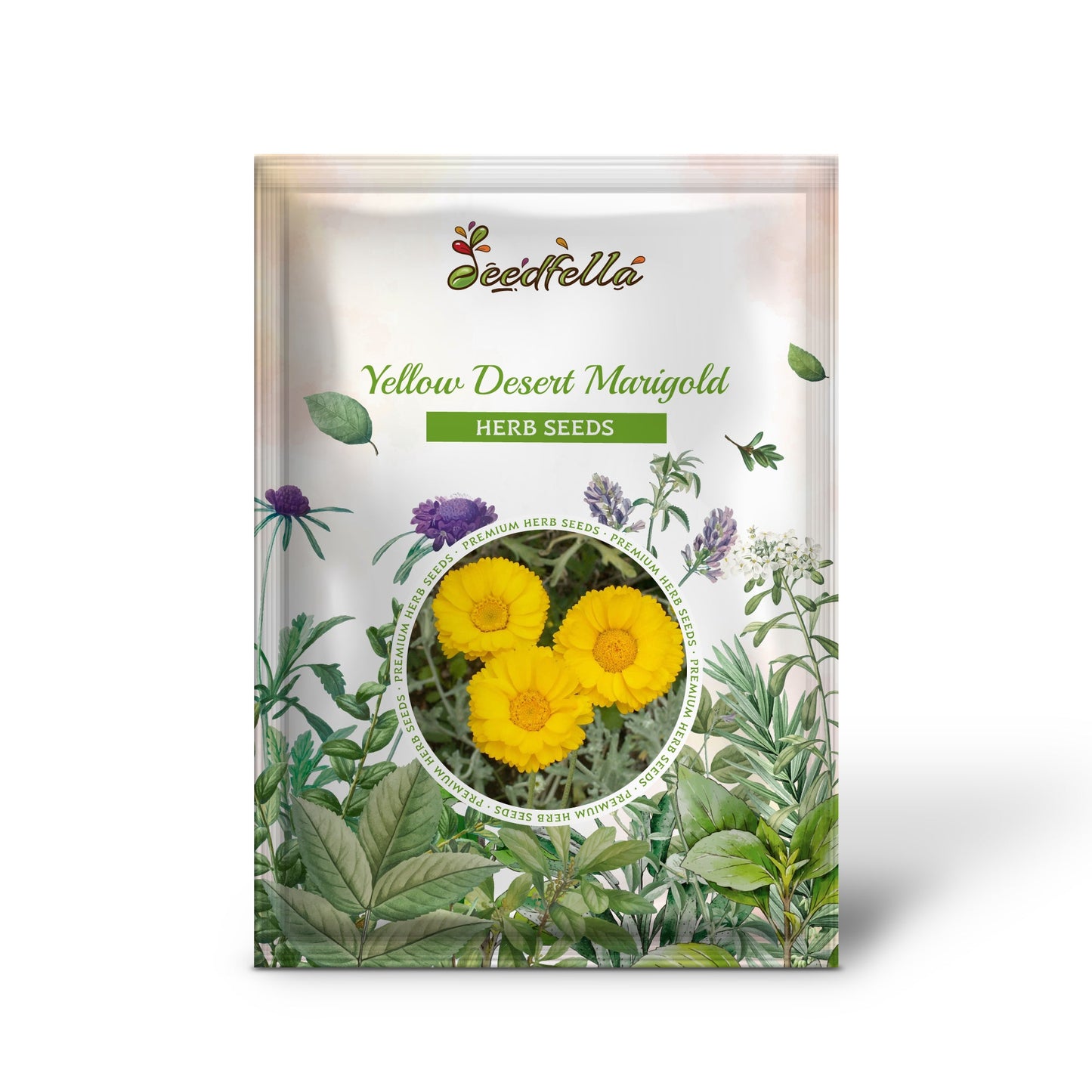 Yellow Desert Marigold (Baileya multiradiata) Showy Drought-Tolerant Paper Daisy Flower Herb Seeds