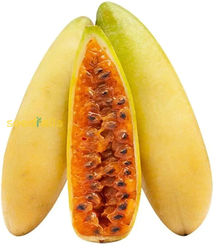 Banana Passion Fruit Seeds For Planting Premium Garden Seeds heirloom non-gmo organic garden seeds
