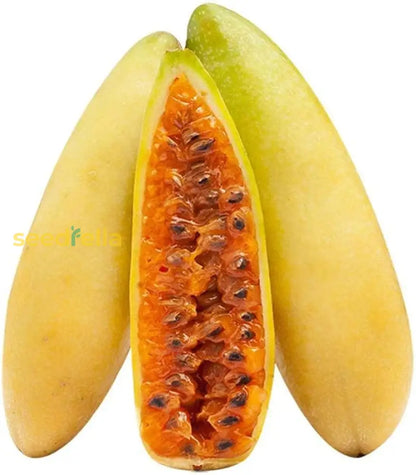 Banana Passion Fruit Seeds For Planting Premium Garden Seeds heirloom non-gmo organic garden seeds