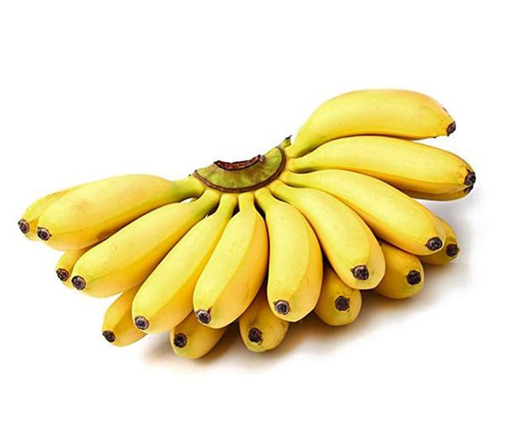 Banana Fruit Seeds For Planting Perfect For Unique And Delicious Gardens heirloom non-gmo organic garden seeds