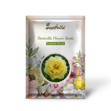 Bartzella Peony Yellow Seeds with Beautiful Yellow Blooms