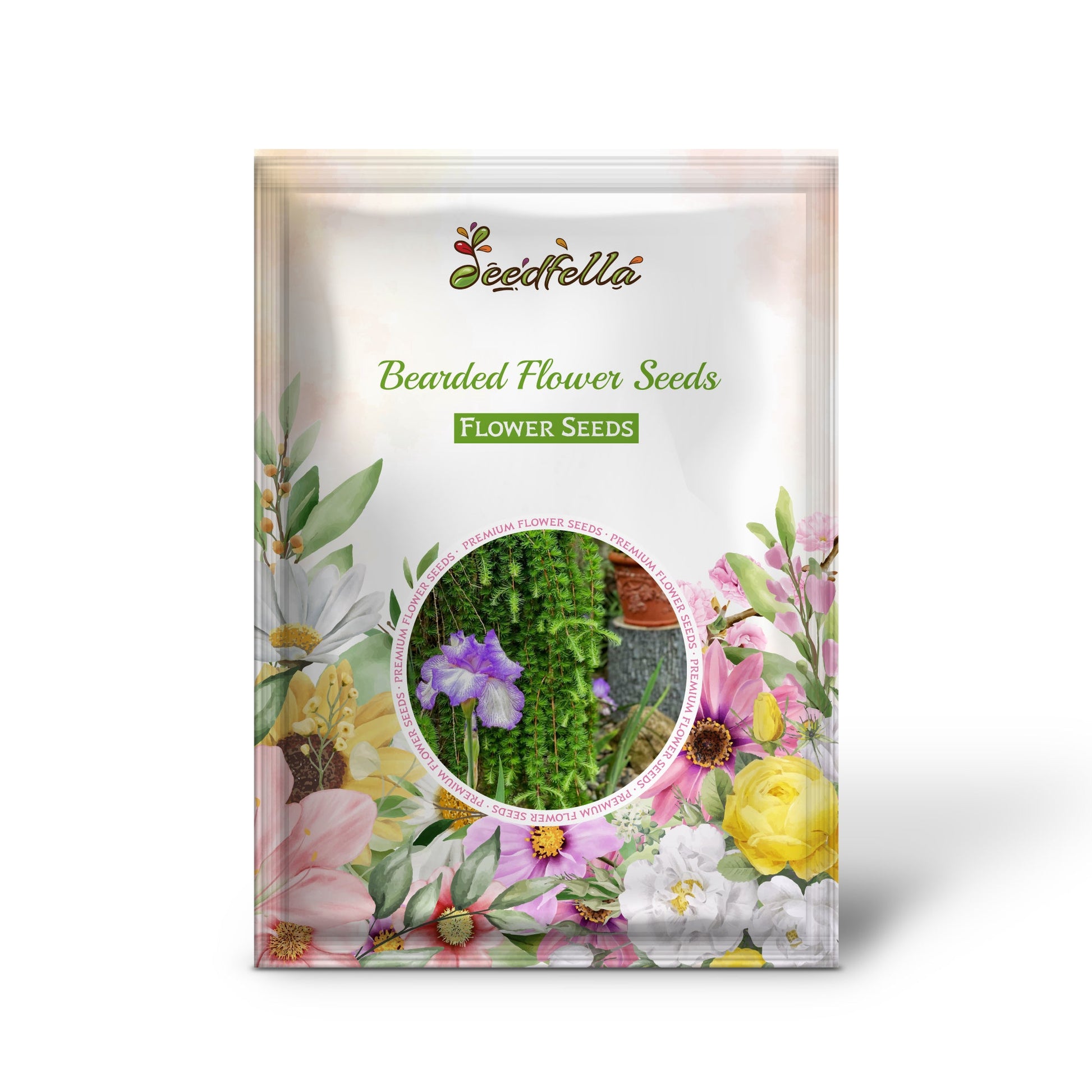 Bearded Flower Plant  Colorful and Elegant Blooms