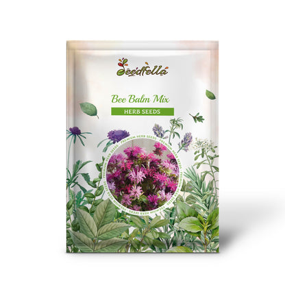 Bee Balm Mix (Lemon Hummingbird Mint) Monarda Didyma Mixed Colors Seeds
