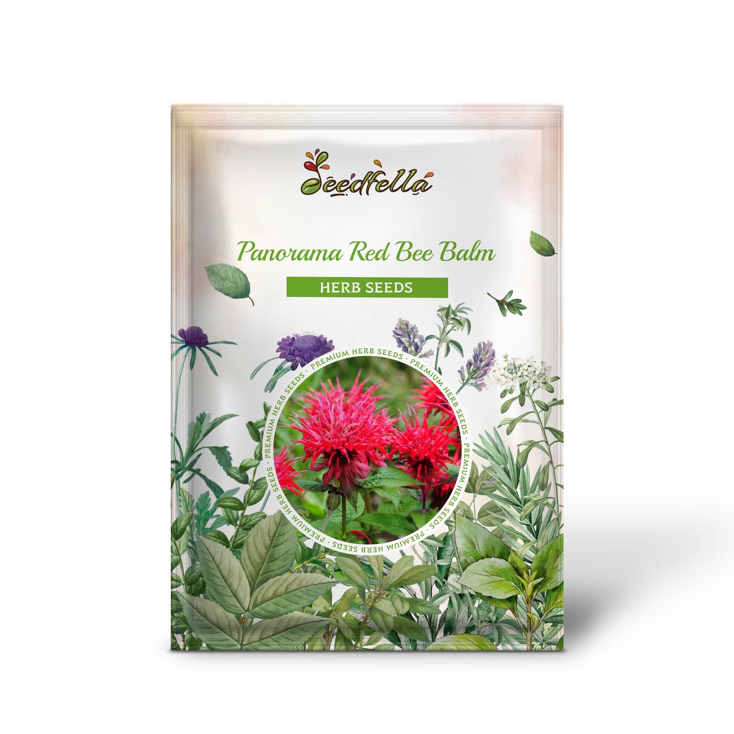 Panorama Red Bee Balm (Monarda Didyma) Oswego Tea Herb Flower Seeds