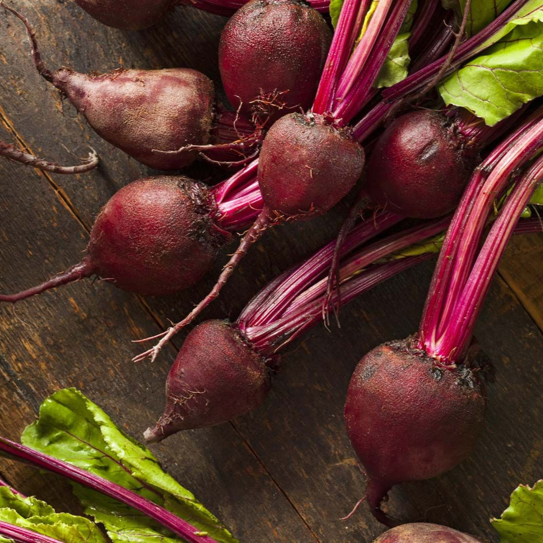 Beet Beta Vulgaris Vegetable Seeds