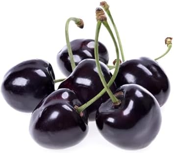 Black Cherry Tree Seeds For Planting heirloom non-gmo organic garden seeds