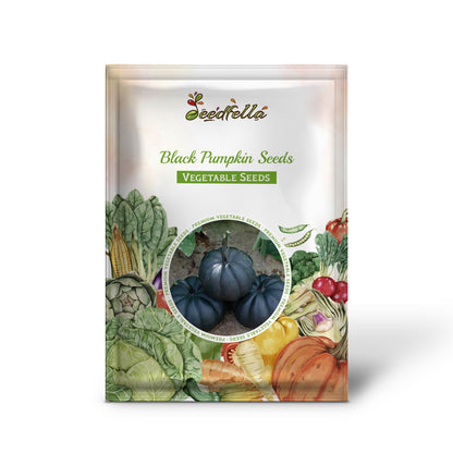 Black Pumpkin Seeds for Planting