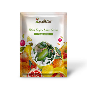 Bliss Finger Lime Seeds for Planting in Citrus Gardens