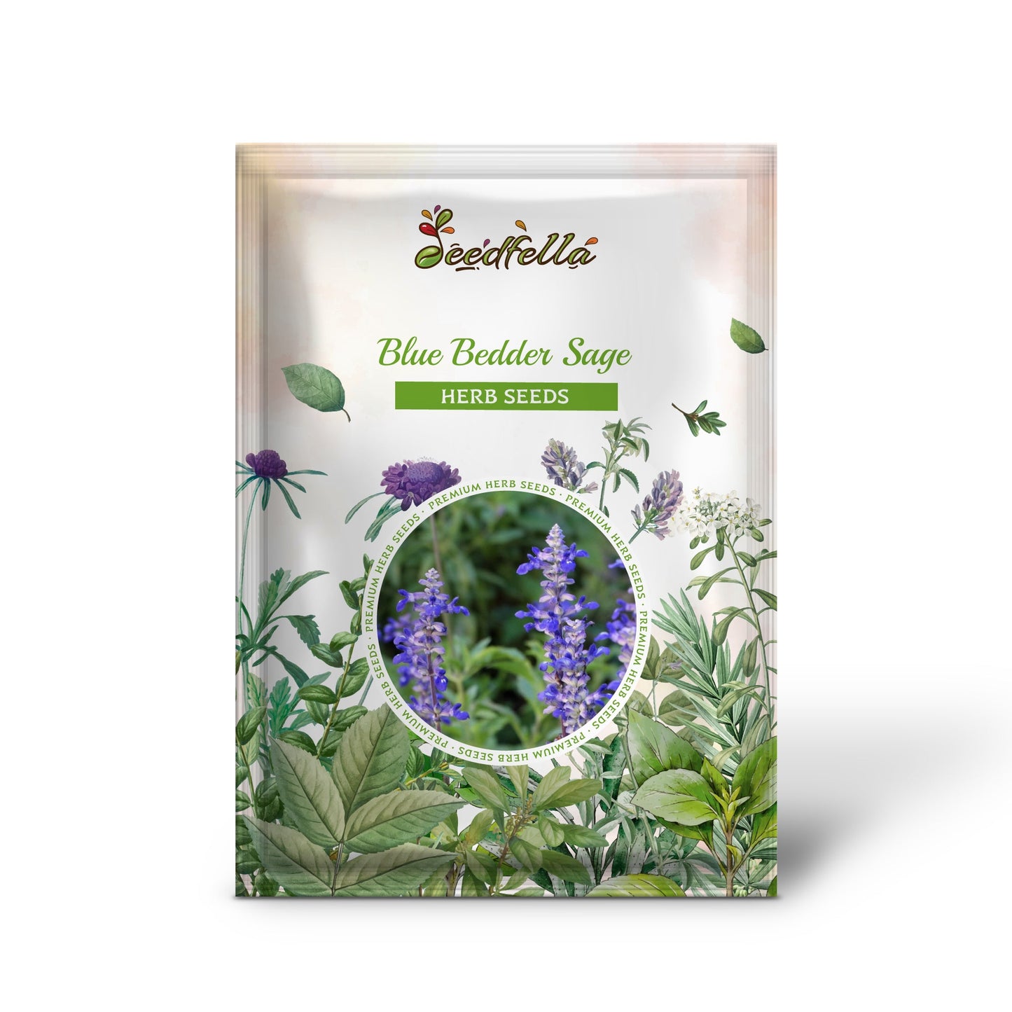 Blue Bedder Sage (Salvia farinacea) Flower Seeds