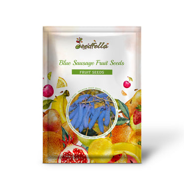 Blue Sausage Fruit Seeds for Planting Premium Quality