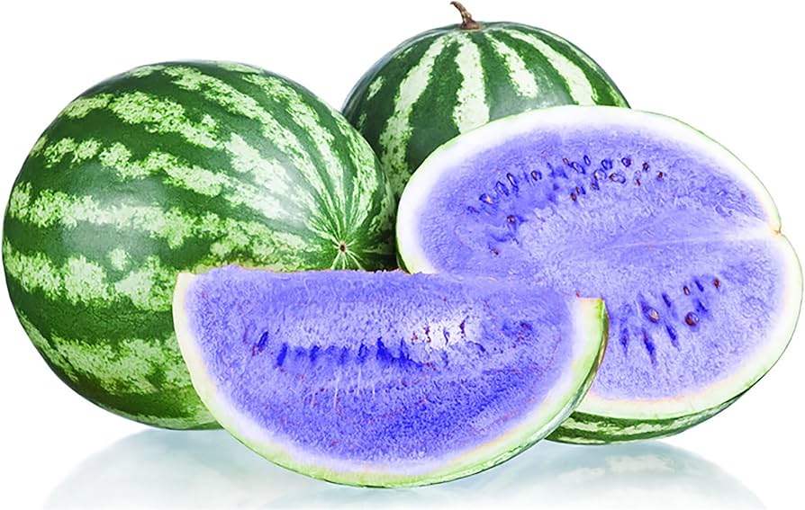 Watermelon Blue Fruit Seeds For Planting: Taste The Sweetness Of Homegrown Harvests! heirloom non-gmo organic garden seeds