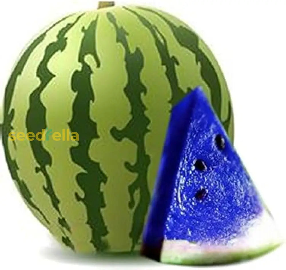 Blue Watermelon Seeds For Planting | Unique Watermelon Variety For Your Garden heirloom non-gmo organic garden seeds