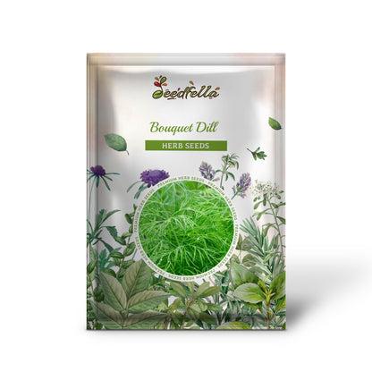Bouquet Dill (Anethum graveolens) Herb & Flower Seeds
