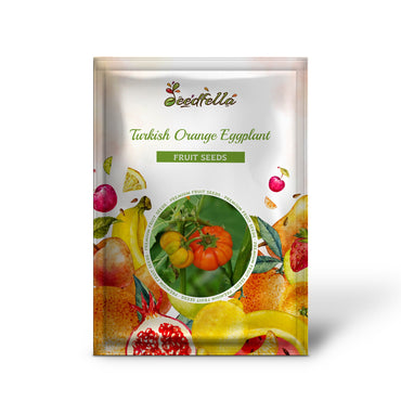 Turkish Orange Eggplant (Scarlet Solanum Aethiopicum) Fruit Vegetable Seeds