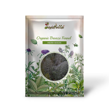Organic Bronze Fennel (Foeniculum vulgare Purpureum) Herb with Bronze Foliage & Yellow Flowers Seeds