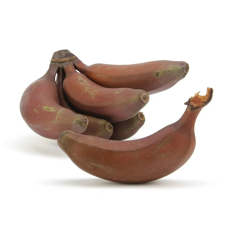 Brown Banana Seeds For Planting Grow Fresh Bananas At Home heirloom non-gmo organic garden seeds