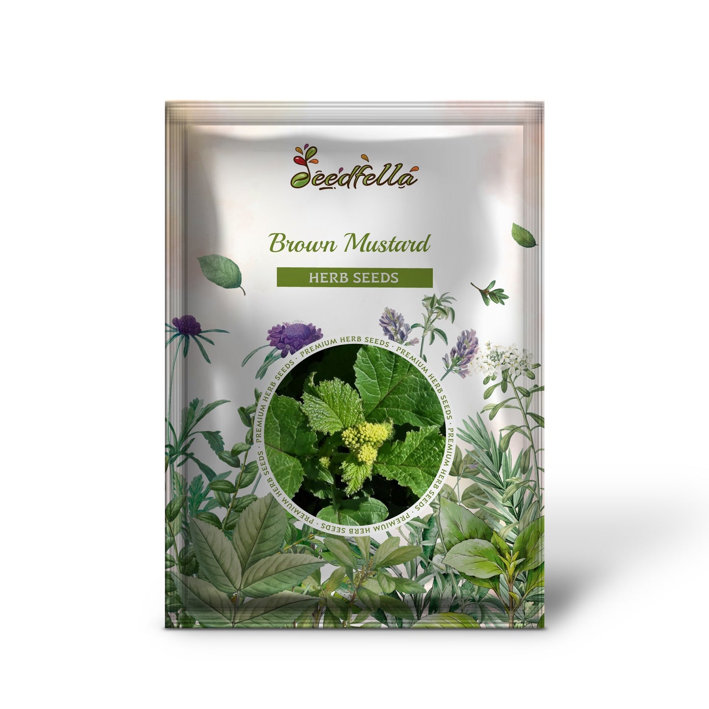 Brown Mustard (Brassica juncea) Vegetable Herb Seeds