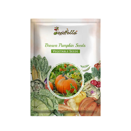 Brown Pumpkin Seeds for Planting - Grow Your Own Harvest