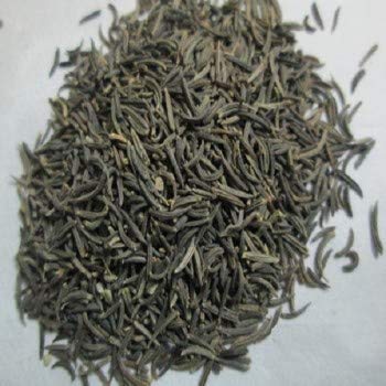 カラジーラ インペリアル 黒クミン（ブニウム・ペルシクム）香辛料植物 薬草の種