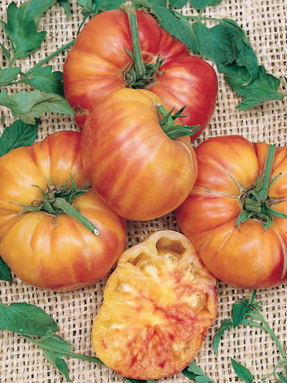 Mr. Stripey Tomato Vegetable Seeds