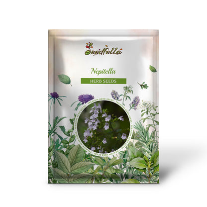 Nepitella (Calamintha nepeta) Seeds