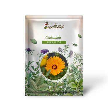 Calendula (Calendula officinalis) – Common Calendula Seeds