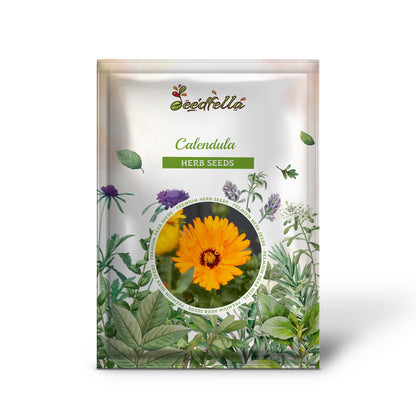 Calendula (Calendula officinalis) – Common Calendula Seeds