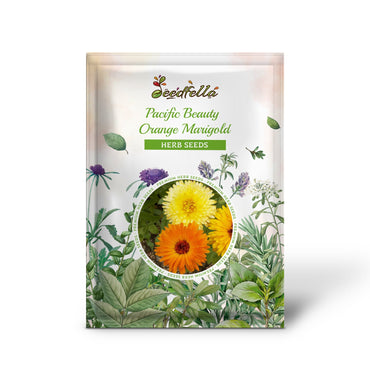 Pacific Beauty Orange Marigold (Calendula Officinalis) Flower Seeds