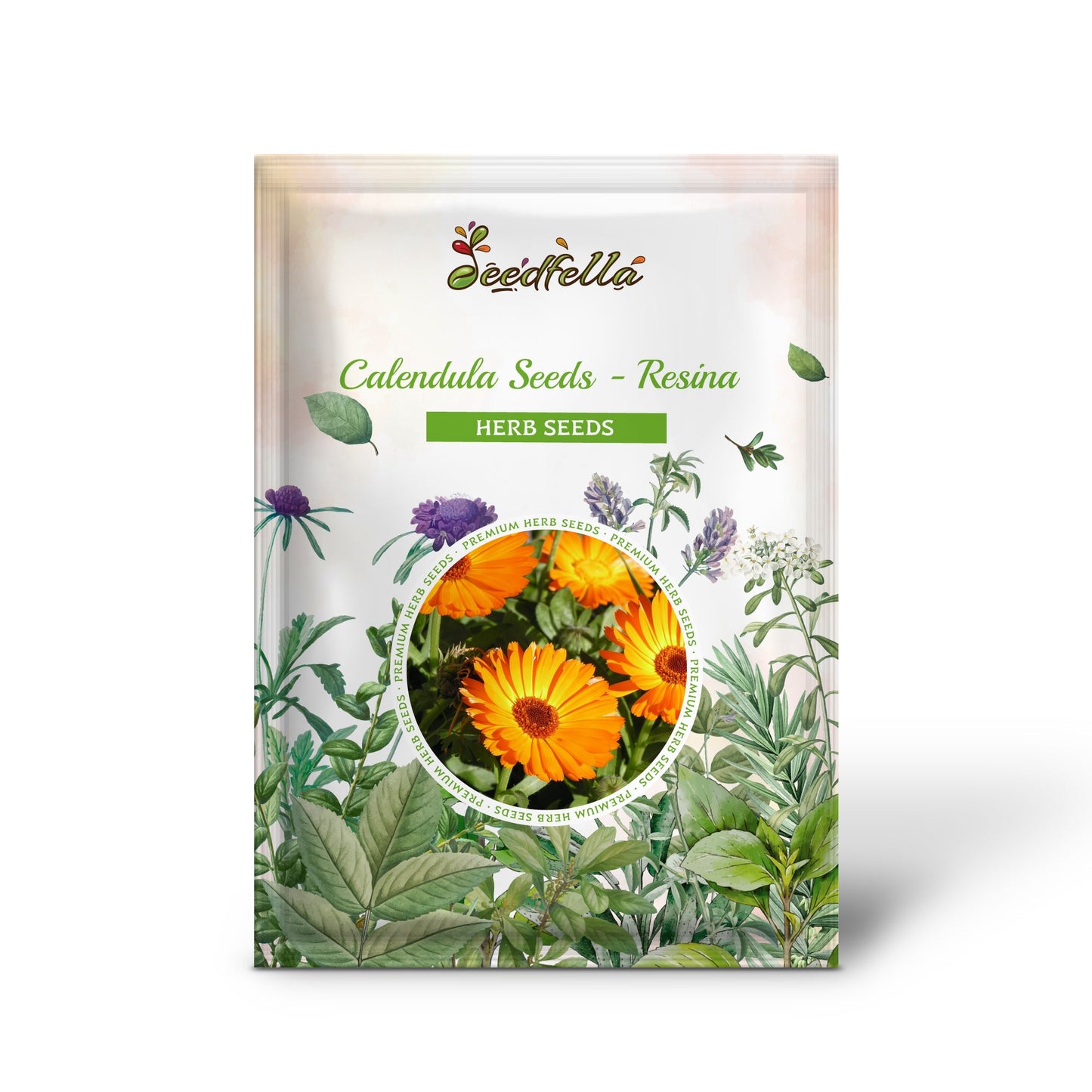 Calendula Seeds - Resina (Calendula officinalis)