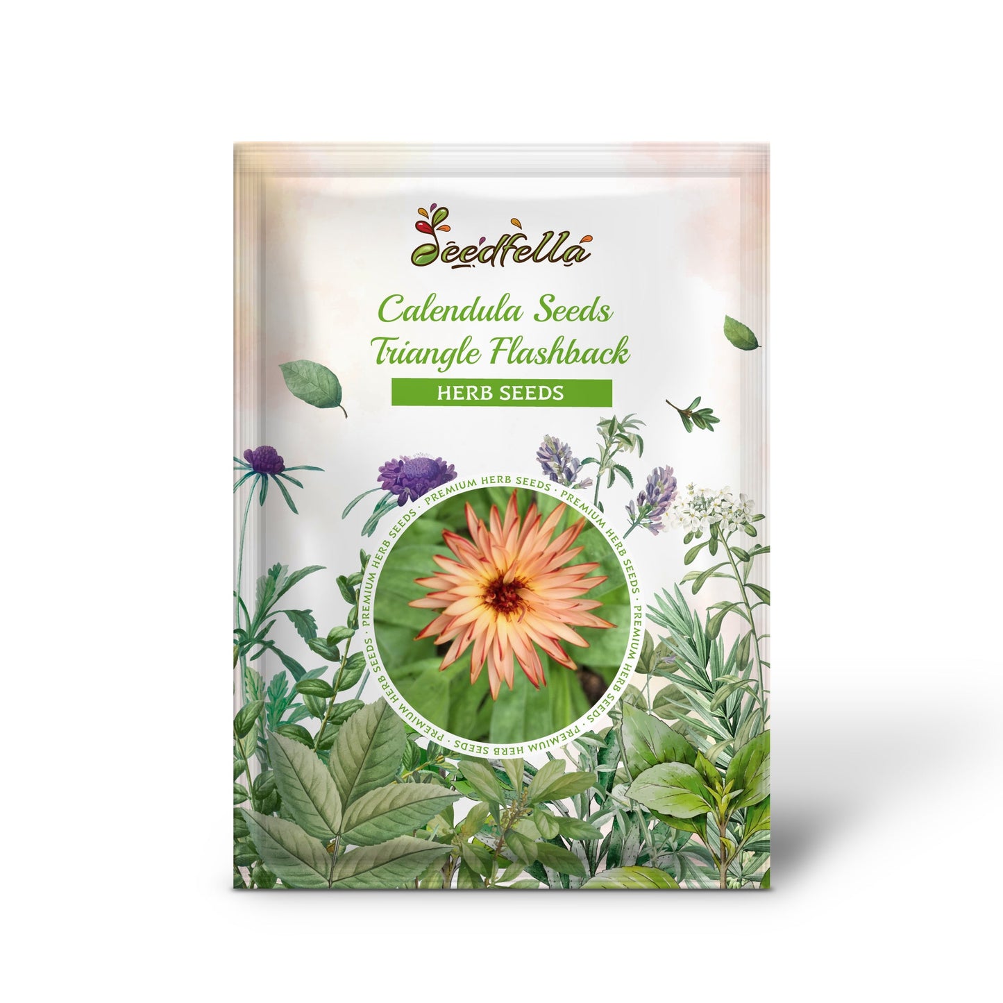 Calendula Seeds - Triangle Flashback (Calendula officinalis)