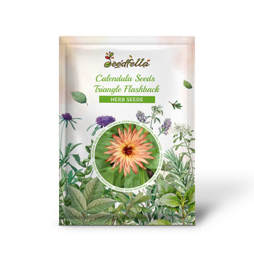 Calendula Seeds - Triangle Flashback (Calendula officinalis)